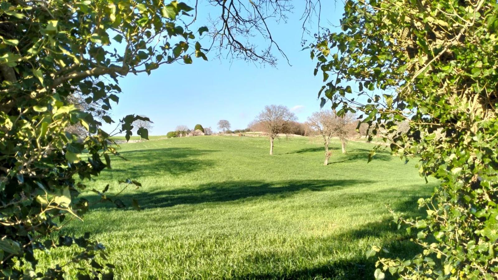 Trullo Dimora Podere Papilio Noci Exteriér fotografie