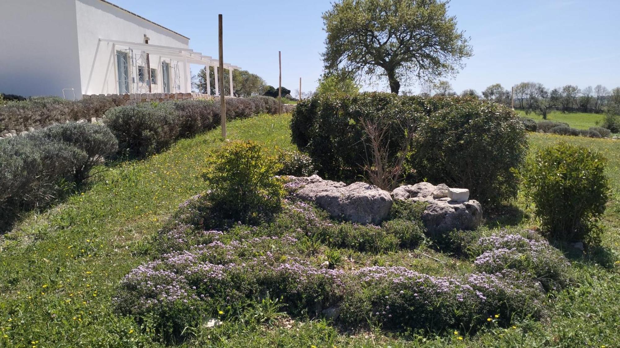 Trullo Dimora Podere Papilio Noci Exteriér fotografie