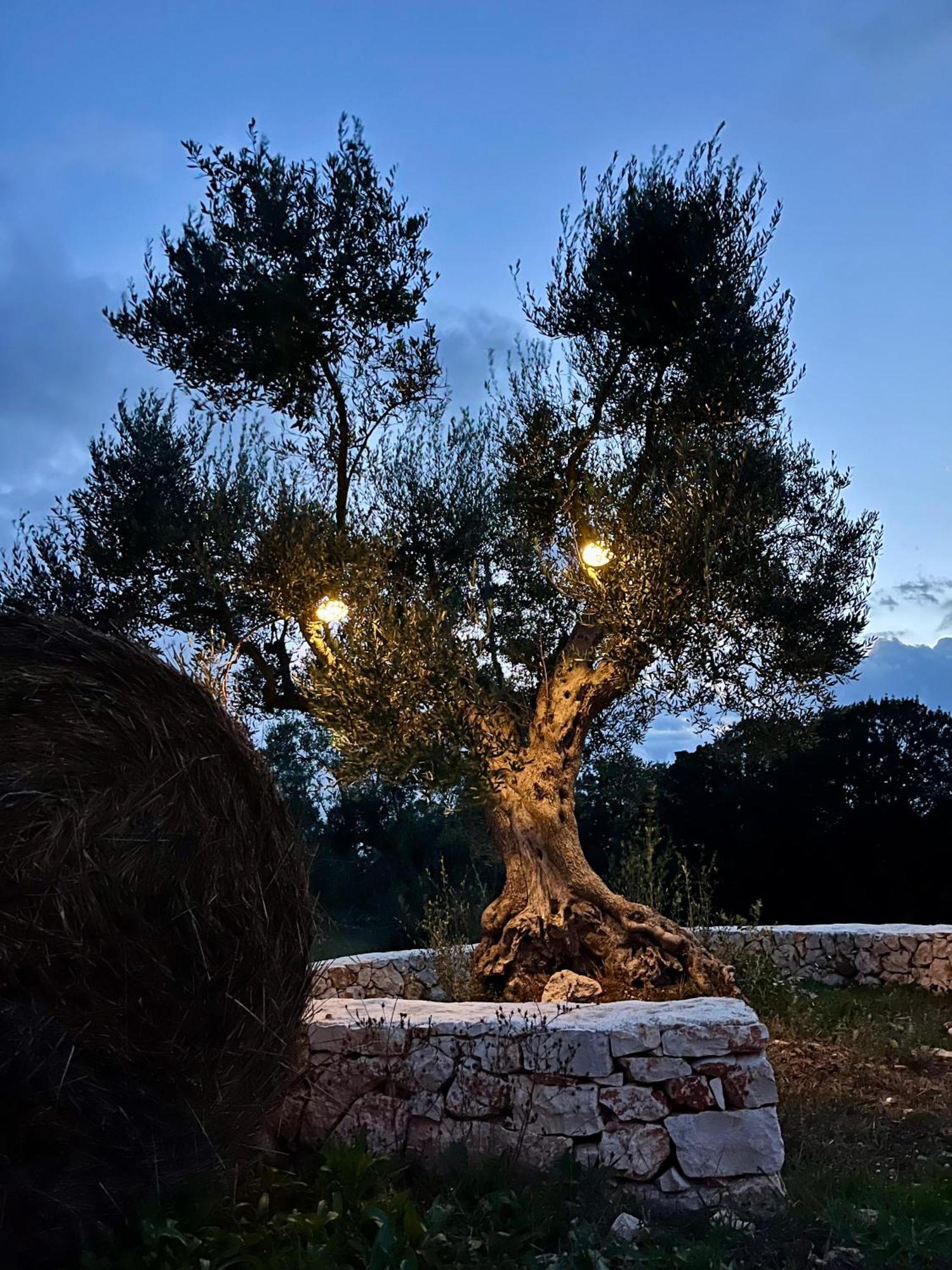 Trullo Dimora Podere Papilio Noci Exteriér fotografie
